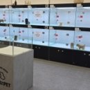 미유펫 강아지분양 고양이분양 전주점 이미지