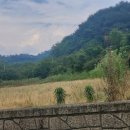 지리산덕천강마을 이미지