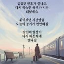 10월 10일(금) 65세 이상 &#39;황혼 재혼&#39; 최근 들어 급증 이미지
