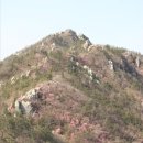 만덕통상(주) | 덕룡산 최단코스 봄꽃산행 - 65번째 100대명산 산행기