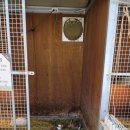 현남초등학교 | 증평벨포레목장 다녀온후기 아이들과 꼭가볼만한곳