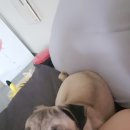 와와당구클럽 이미지