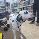 개포동월드 이미지