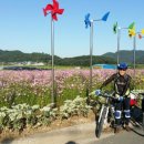 청덕수변생태공원 이미지