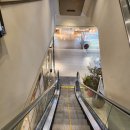 비코드 | 입냄새제거 고체치약 추천 비코드에코 사용법 후기