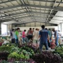 서포농협주유소 이미지