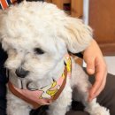 구룡산로52번길(3-308) | 물이 매끈매끈하다~ 매끈매끈한~ 신북 온심재!