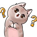 명동왕족발 이미지