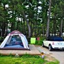 바다와 산사이 이미지