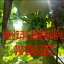 더 부여공인중개사사무소 이미지