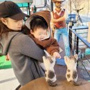 River52road | 가평 아이랑 가볼만한 곳 가평 움직이는 공룡 카페 River 52 road