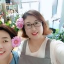 수원-0355 이미지