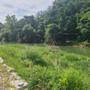 금산농장 2 이미지