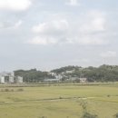 웰빙건강 식단 이미지