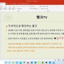 다이스큐브 이미지