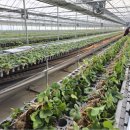 원원농장 이미지