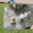 예쁜 아이 센터 이미지