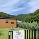 리틀 타이니 하우스 이미지