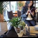 큰갯물바다 이미지