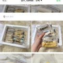 궁전예가 이미지