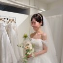 서구-01-13 | [공지] <대전 아워드레스> 내돈내산 후기❤️(드레스별 피팅사진有)