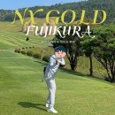 골드 | 골프 드라이버 샤프트 추천 후지쿠라 NX골드 후기