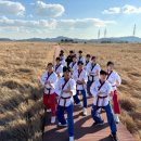 용인대 마루한 태권도 이미지