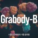K.B바이오 이미지