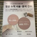 양수우리의원 | 시험관 임신 16주차 서초함춘병여성병원 양수검사 후기 및 결과 &amp; 오복이 성별 확인