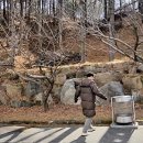 한밭대학교(산업대) | 100년이 넘은 지방대 상주대학교 통합 후 경북대학교 상주캠퍼스로 바뀐 모습은 어떨까요?