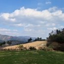 올데이 옥스필드 이미지