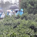 신효동-14 이미지