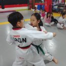 나우GN태권도장 이미지