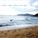 쿨한인생 이미지