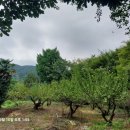 한실농장 이미지