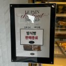[8주차] 뚝섬 패들링 스쿨🏄‍♂️ / 한강공원🌿 / 승선준비🏥 / 부산여행
