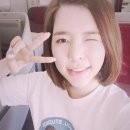 써니브릿지