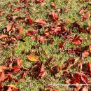 온천호텔문경 이미지