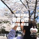 수원-1269 | 수원 벚꽃 명소 가볼만한곳 권선동 중앙공원 아이와 봄나들이