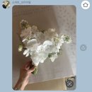 와니헤어(Wani hair) | [본식 후기] 마이디어스냅, 시작바이이명순, 소피토 부케
