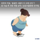 11월15일 뉴스브리핑 이미지