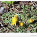 금강4농장 이미지