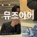 뮤즈 안경 | 청주안경점 l 뮤즈아이 브랜드 안경 선글라스 써볼 수 있는 곳 JTO AR 48- 22 내돈내산 후기