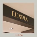 대구 수성구 명품 브랜드 편집샵 LUXPIA 럭스피아