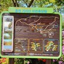 홍천군산림조합(가리산자연휴양림) 네이버블로그
