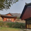 미황사 (美黃寺) 방문기 20240317