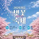 2026 정읍 벚꽃축제: 정읍천 벚꽃터널부터 전설의 쌍화차 거리까지 완벽 가이드 이미지