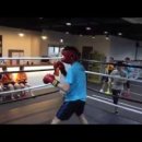 클럽복싱인 이미지