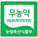 다래팜 네이버블로그