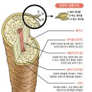 베베뷰티 네이버블로그
